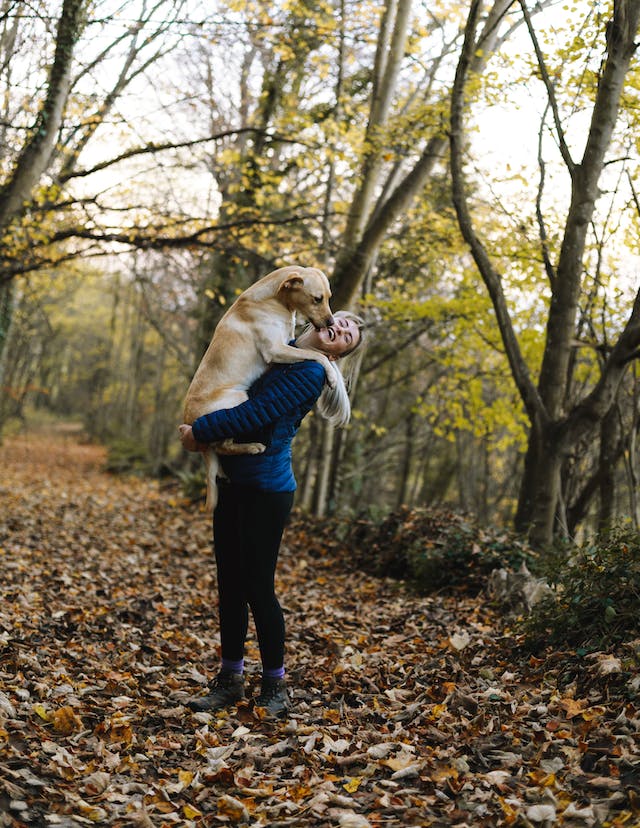 santé de votre chien