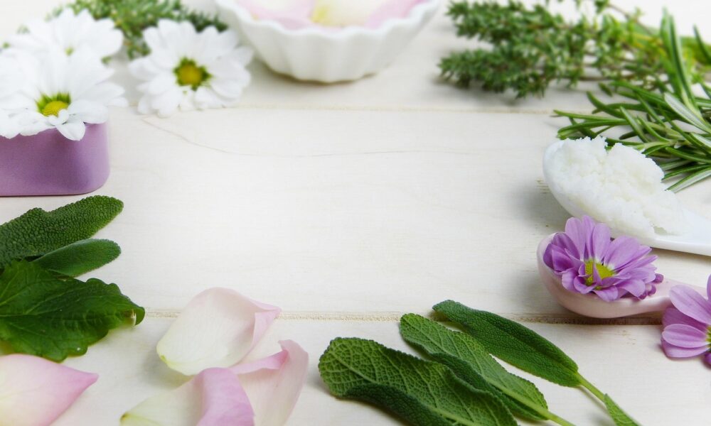 Bienfaits_therapeutiques_des_plantes
