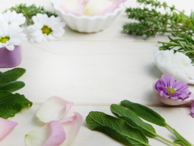 Bienfaits_therapeutiques_des_plantes