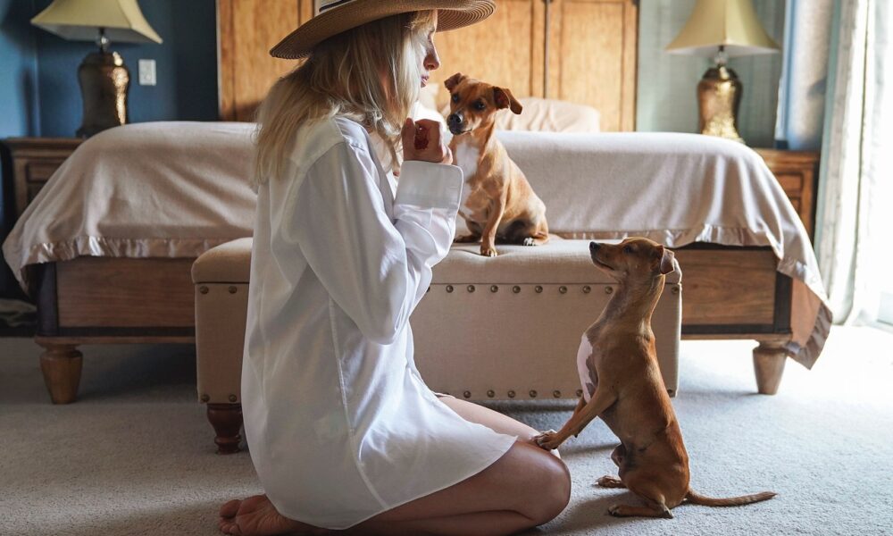 Chiens en bonne santé les gestes à adopter chaque jour